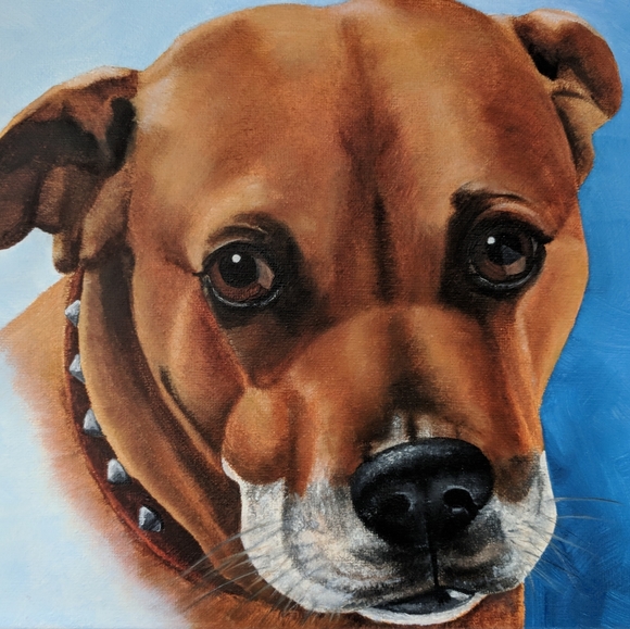 Meet your Posher, Victory Hill (Deb) - Picture 12 of 14